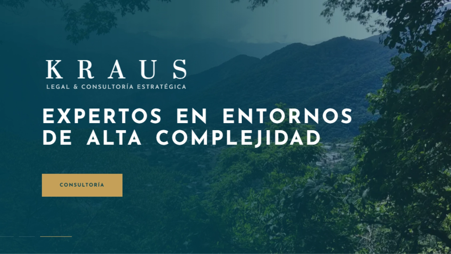Consultoría de Activos Kraus Legal